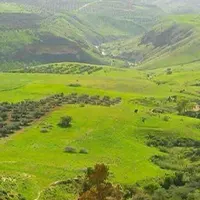 تحسين الخيّاط مزارع شبعا - Tahseen Khayat Shebaa